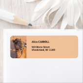 Camel met een grappige gezichtsuitdrukking - Oman Etiket (Insitu)