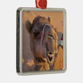 Camel met een grappige gezichtsuitdrukking - Oman Metalen Ornament (Rechts)