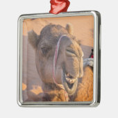 Camel met een grappige gezichtsuitdrukking - Oman Metalen Ornament (Links)