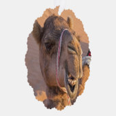 Camel met een grappige gezichtsuitdrukking - Oman Ornament Kaart (Rechts)