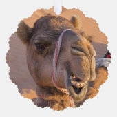 Camel met een grappige gezichtsuitdrukking - Oman Ornament Kaart (Voorkant)