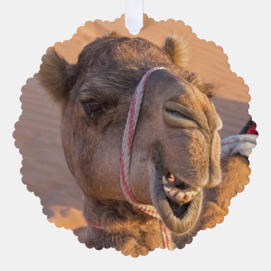 Camel met een grappige gezichtsuitdrukking - Oman Ornament Kaart (Voorkant)