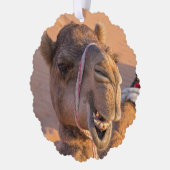 Camel met een grappige gezichtsuitdrukking - Oman Ornament Kaart (Links)