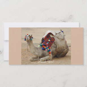 Camel met kleurrijke pom-Poms Bedankkaart