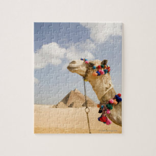 Camel met Pyramids Giza, Egypte Legpuzzel