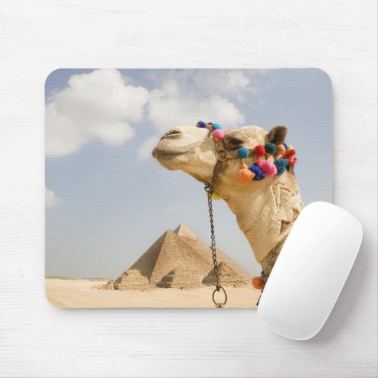 Camel met Pyramids Giza, Egypte Muismat (Met muis)