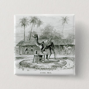 Camel Mill, van 'Travels in Africa' Vierkante Button 5,1 Cm
