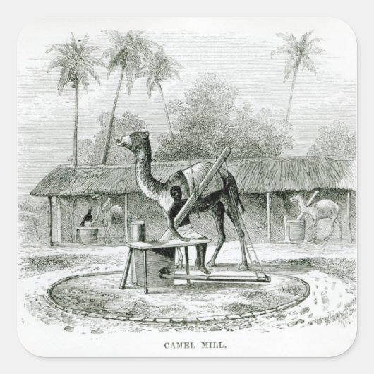 Camel Mill, van 'Travels in Africa' Vierkante Sticker (Voorkant)