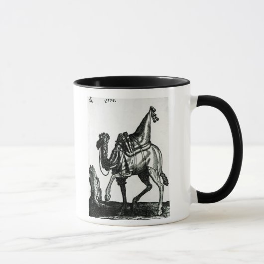 Camel Mok (Rechts)