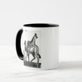 Camel Mok (Voorkant links)