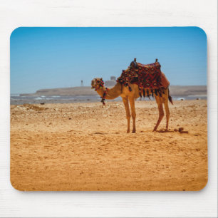 Camel Muismat