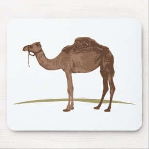 Camel Muismat