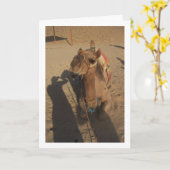 Camel op foto kaart (Gele Bloem)