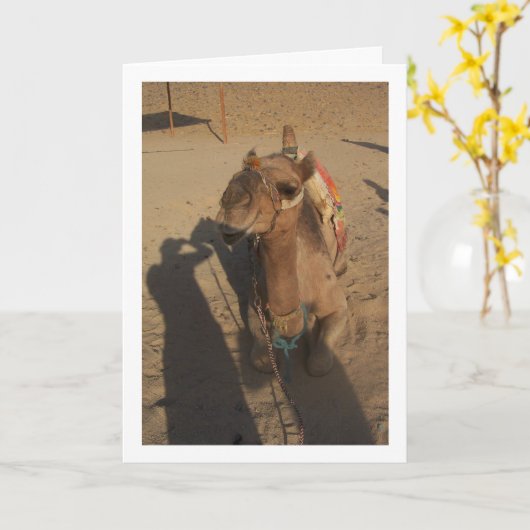 Camel op foto kaart (Gele Bloem)
