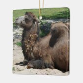 Camel Ornament (Links)