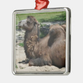 Camel Ornament (Links)
