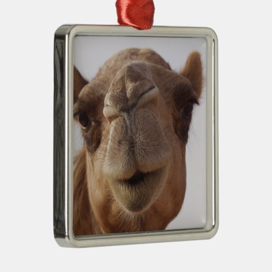 Camel Ornament (Rechts)