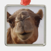 Camel Ornament (Voorkant)