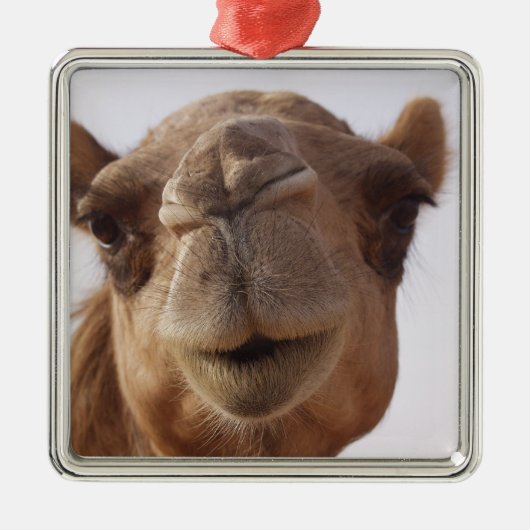 Camel Ornament (Voorkant)