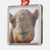 Camel Ornament (Links)