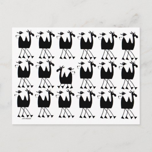 Camel Parade Briefkaart (Voorkant)