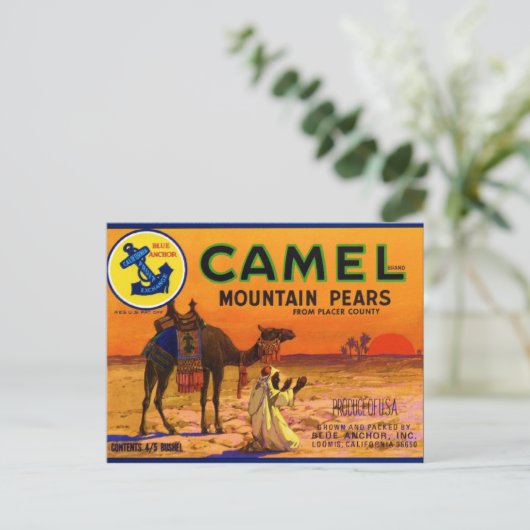 Camel Pears Briefkaart (Staand voorkant)