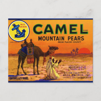Camel Pears Briefkaart