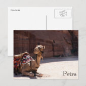 camel petra briefkaart (Voorkant / Achterkant)