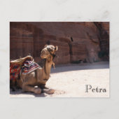 camel petra briefkaart (Voorkant)