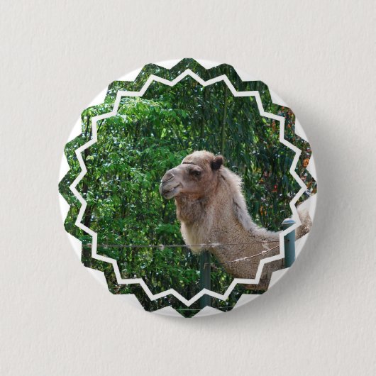 Camel Photo Design Button (Voorkant)