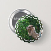 Camel Photo Design Button (Voorkant /achterkant)