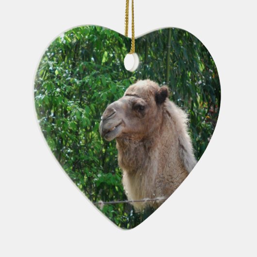Camel Photo Design Ornament (Rechts)