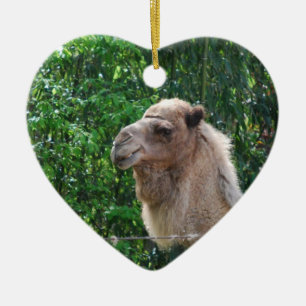 Camel Photo Design Ornament