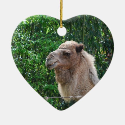 Camel Photo Design Ornament (Achterkant)