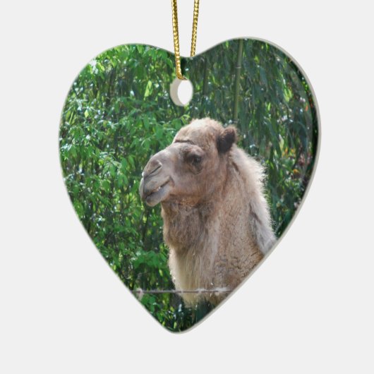 Camel Photo Design Ornament (Links)