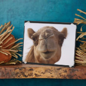 Camel Plaque Fotoplaat (Zijkant)