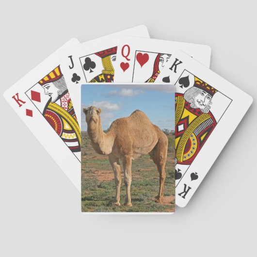 Camel Pokerkaarten (Achterkant)
