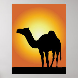 Camel Poster