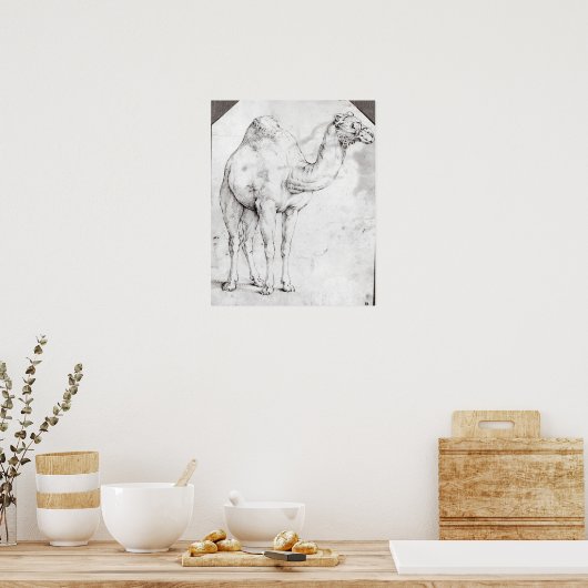 Camel Poster (Keuken)