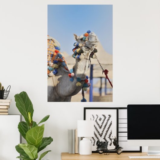 Camel Poster (Thuiskantoor)