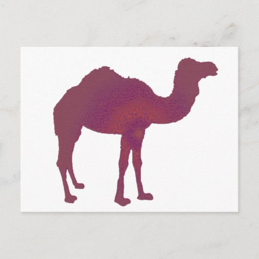 Camel Prestige Briefkaart (Voorkant)