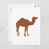 Camel Prodigy Briefkaart (Voorkant / Achterkant)