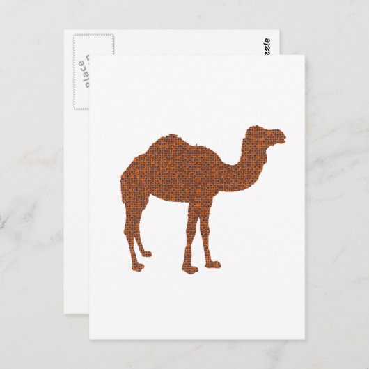 Camel Prodigy Briefkaart (Voorkant / Achterkant)