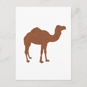Camel Prodigy Briefkaart