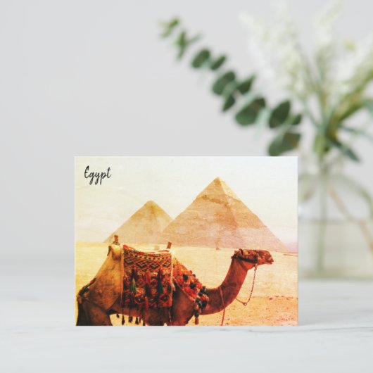 camel pyramids giza briefkaart (Staand voorkant)