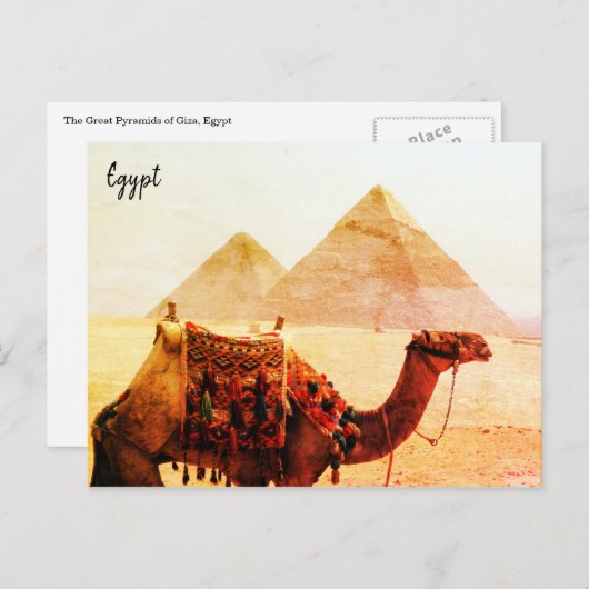 camel pyramids giza briefkaart (Voorkant / Achterkant)