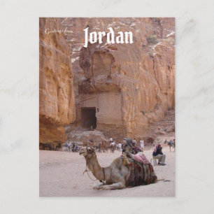 Camel Resting in Petra Jordan Briefkaart