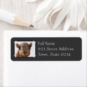 Camel retouradres label (Insitu)