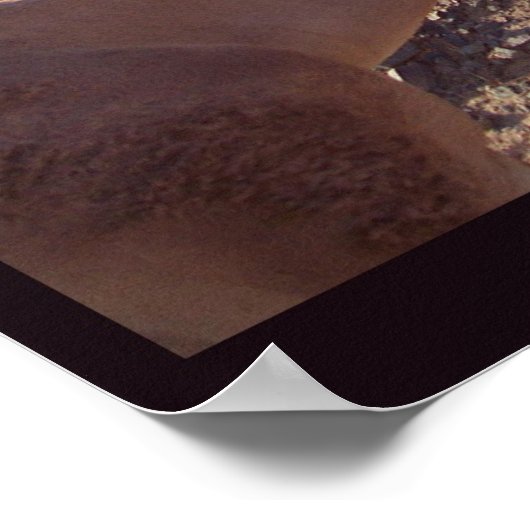 Camel-ride in Egypt Poster (Hoek)