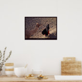 Camel-ride in Egypt Poster (Keuken)